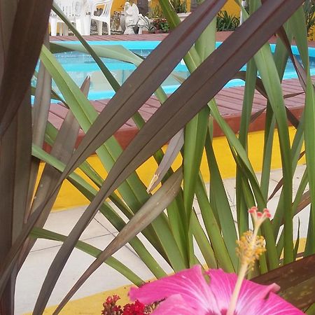 Casa Pousada Rosa Dos Ventos Florianópolis Dış mekan fotoğraf